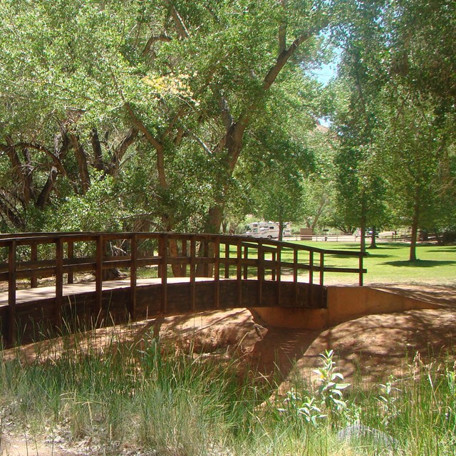 Dark brown wooden bridge over stream with green grass and trees around it.