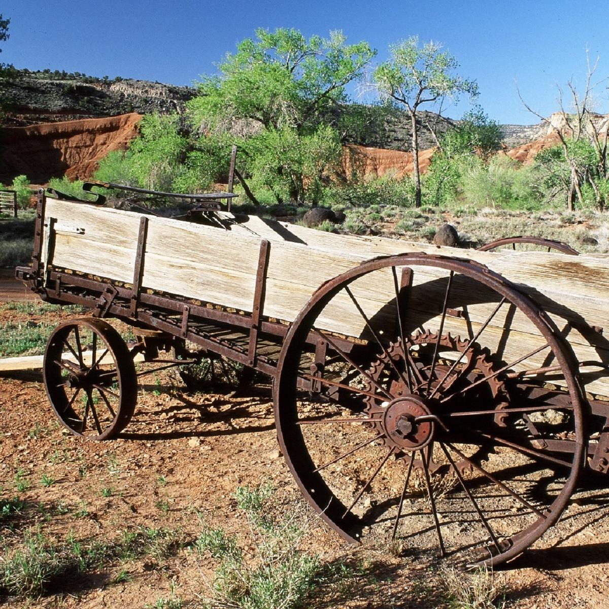 Photo of old, broken wagon in a field.