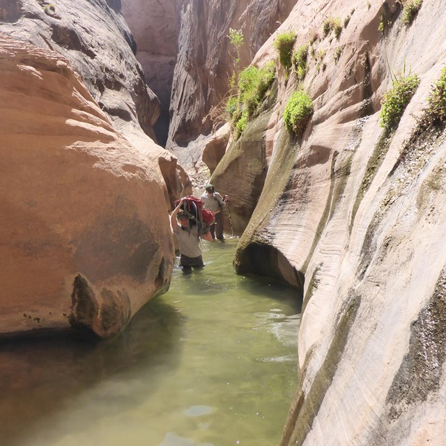 Narrow canyon filled with water, with a hiker wading through the water.