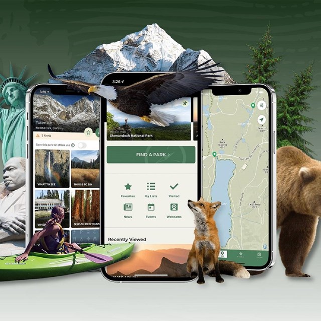 A graphic compilation of the statue of liberty, a mountain, kayak, animals, and phones with the app
