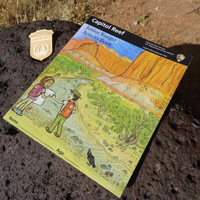 Colorful junior ranger booklet with wooden badge placed on black boulder.