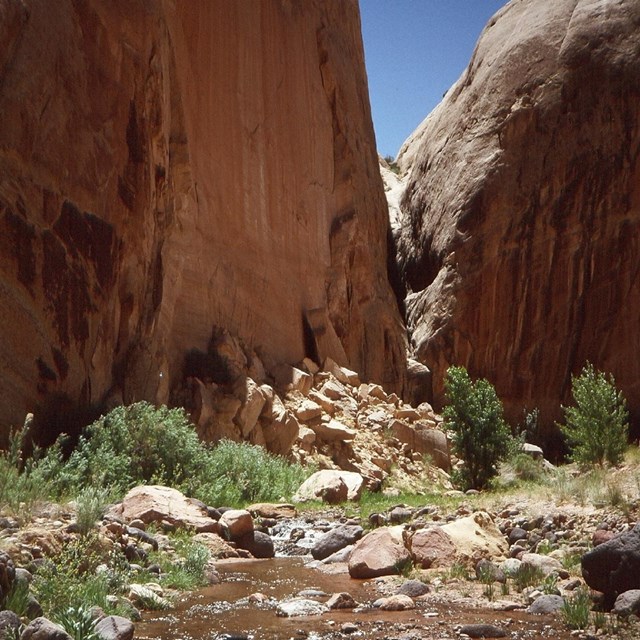 Sparkling creek below tall cliffs and blue sky, with green vegetation along banks.