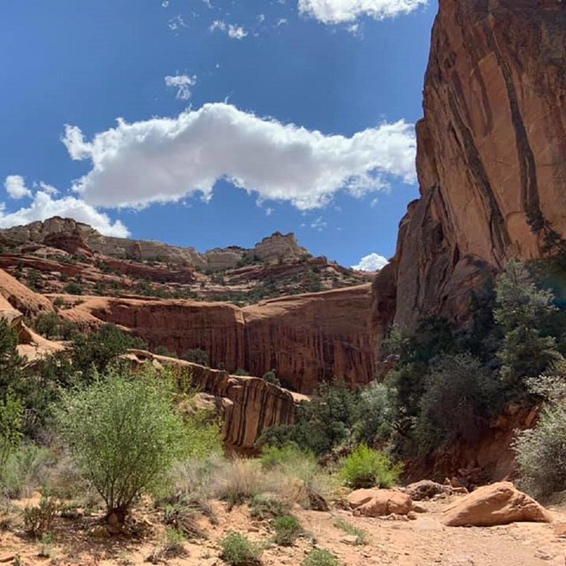 Large canyon with colorful striped cliffs, vegetation, and blue sky and clouds above. 