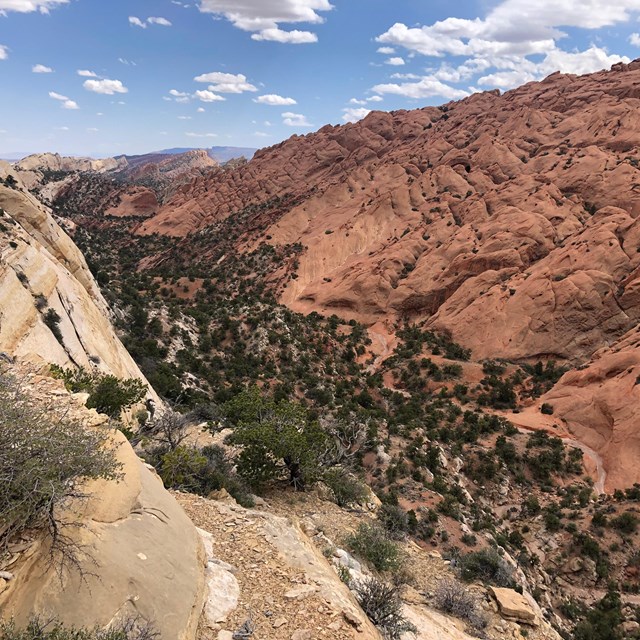 Deep canyon in center, with reddish rock slopes on one side, and white cliffs on the other.