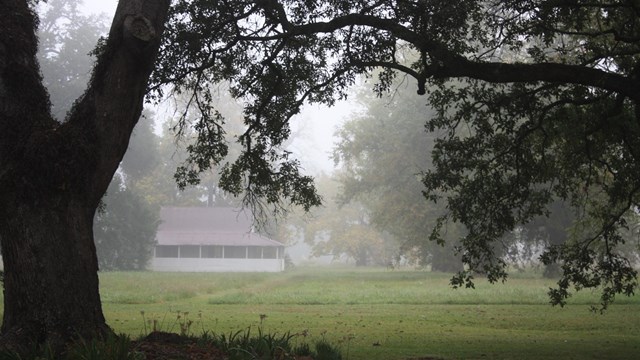 Image of Cooks cabin at Oakland Plantation