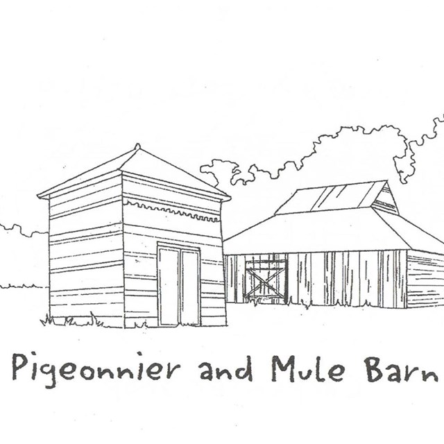 Pigeonnier and mule barn sketch