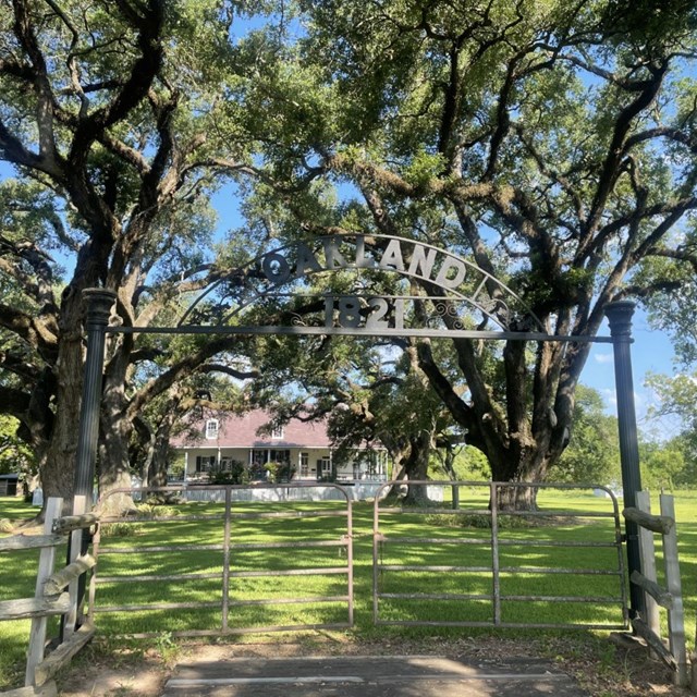 Planter family home - a large fancy house with large trees infront.