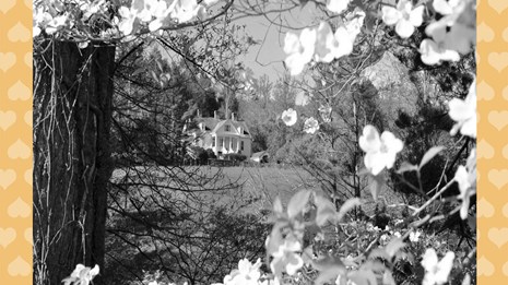 Black and White photo of white house on a hill