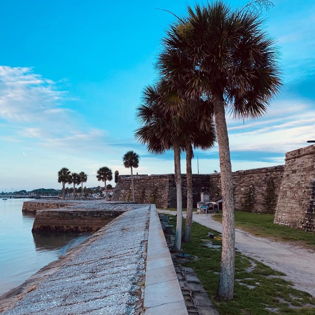 Seawall on east side of the fort. Wall, palm trees, water, and sail boats in background.