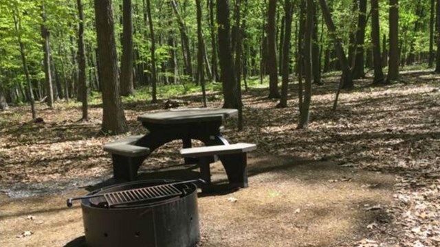 Picnicking at Catoctin Mountain Park