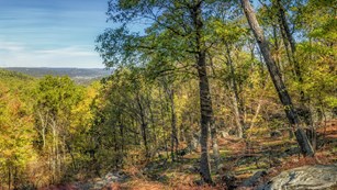 Fall foliage on display at the Hog Rock Overlook