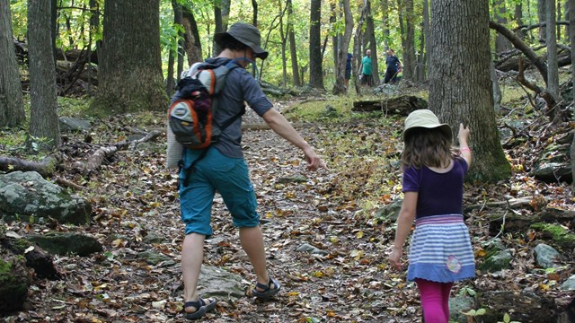 Image of children hiking on a trail