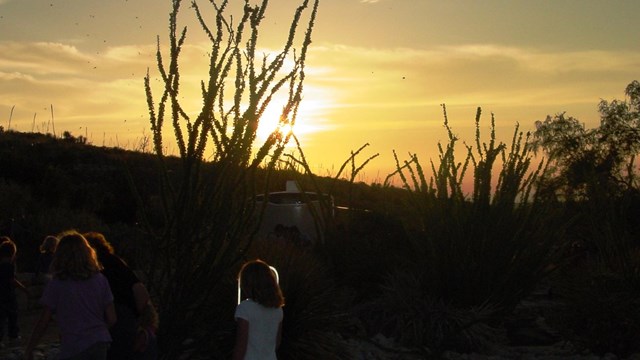 Children watch bats return to Carlsbad Cavern at dawn.