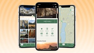 Download the NPS App