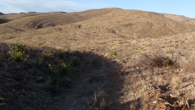 Views of the Chihuahuan Desert along the Guadalupe Ridge Trail