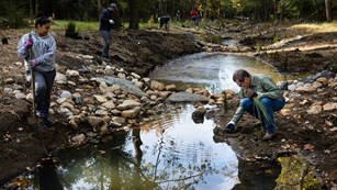 A diverse group of people planting various plants along a stream.