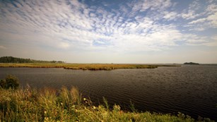 Beauty shot of a river bank off of the Chesapeake