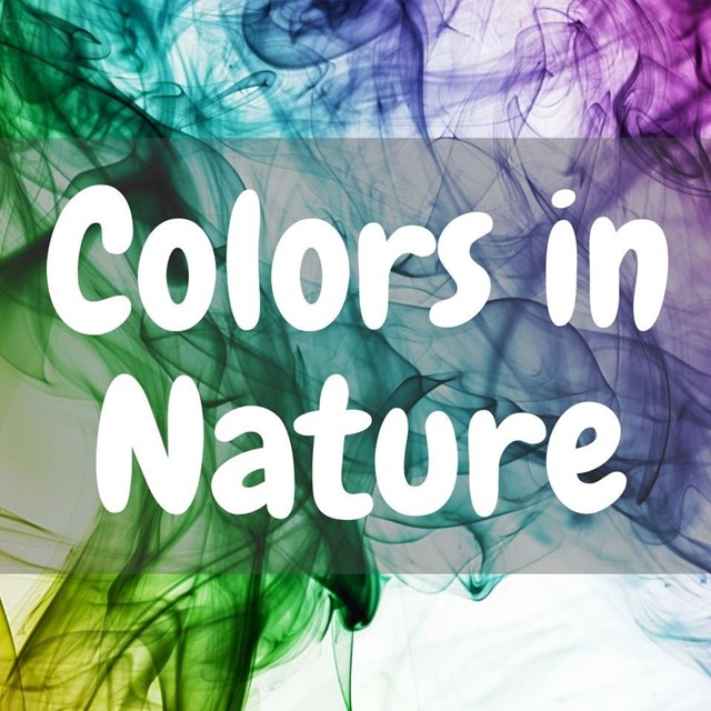 Colors in Nature
