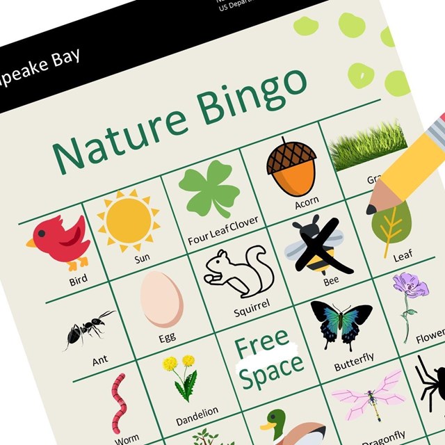 Bingo board
