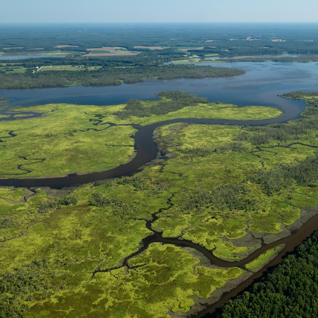 An aerial photo of water flowing through marsh lands.