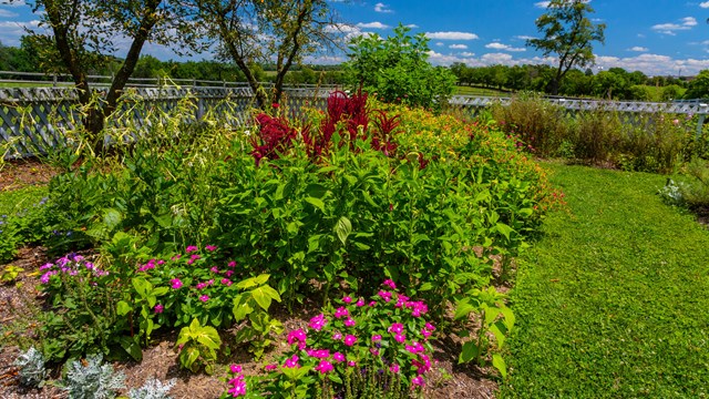 A bright green spring garden has red and pink flower blossoms.