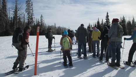 Several people gather around a ranger during a snowshoe walk.