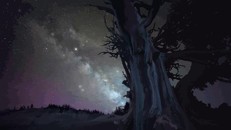 Stylized night sky art with a tree silhouetted in front of a galaxy of stars.