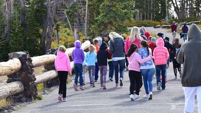 Learn more on how to get your class into the park for free!