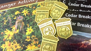 Close up photo of Cedar Breaks brochures, books and Jr. Ranger badges.