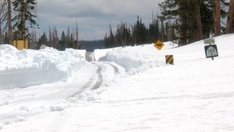 Picture of road winding through meadows of white snow + road caution signs.