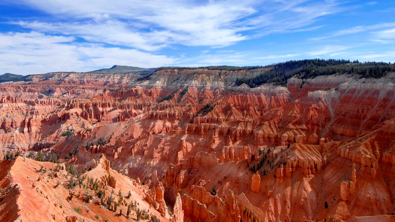 Forests and meadows grow on the edge of a massive geologic amphitheater.