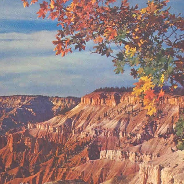 A large geologic amphitheater with a tree in the foreground.