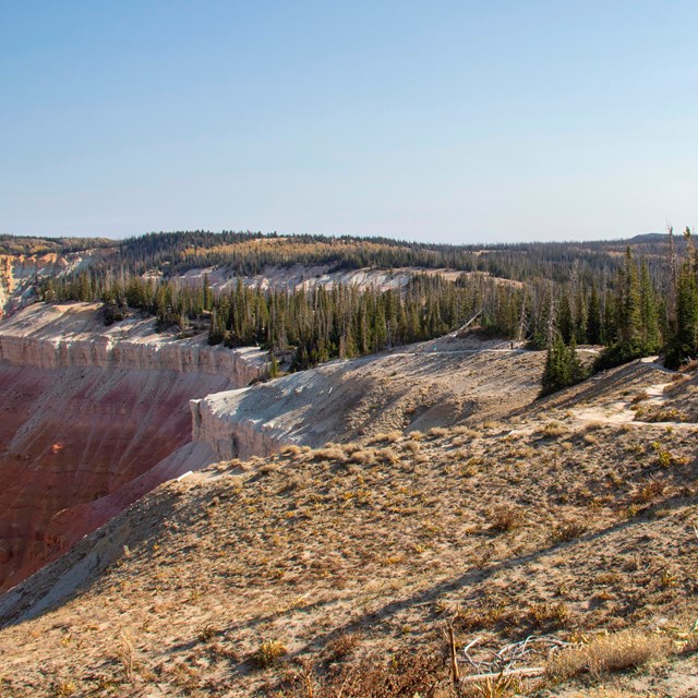 A dirt trail leads away from the camera along the rim of an amphitheater.