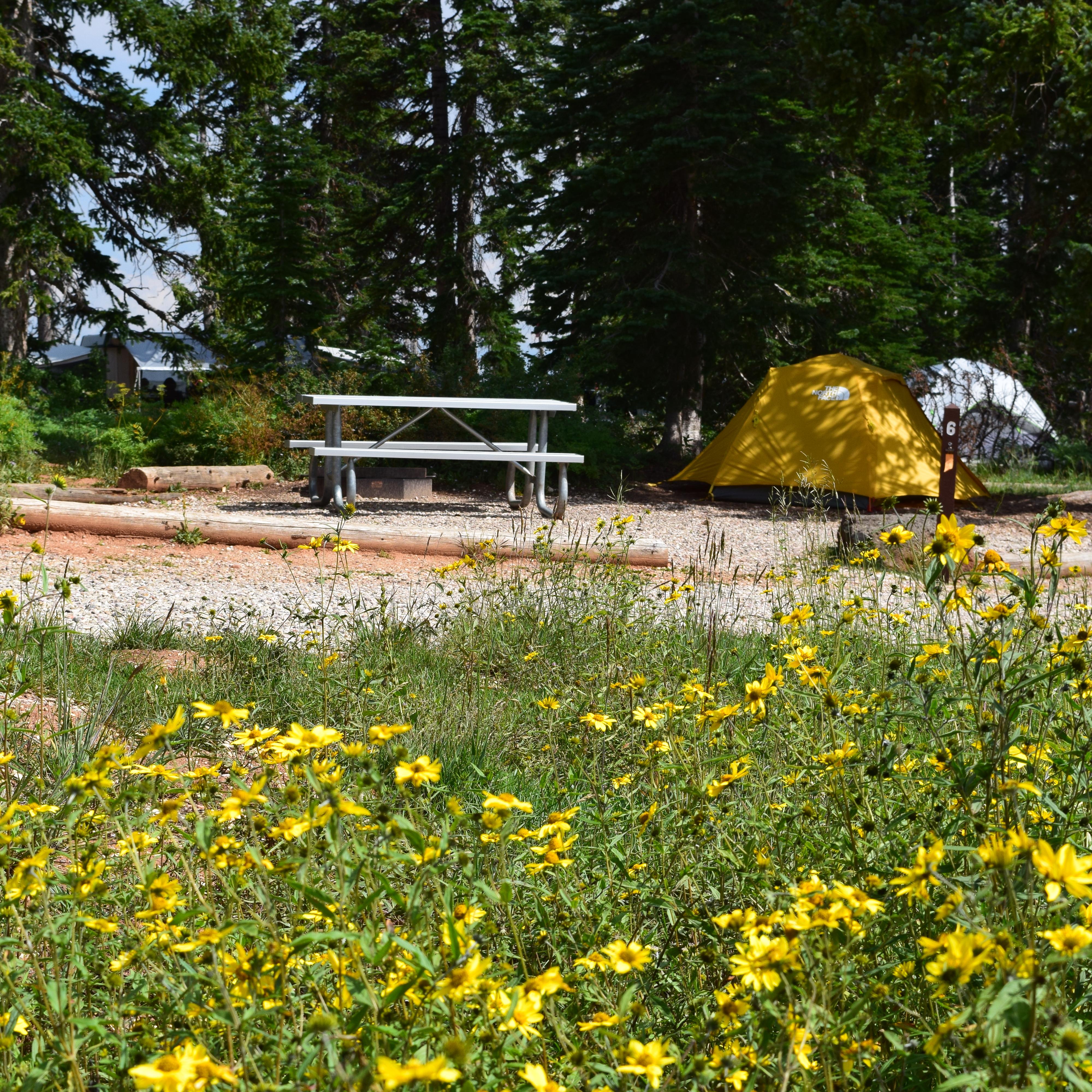 A yellow tent is setup next to a picnic table with yellow flowers in the foreground.