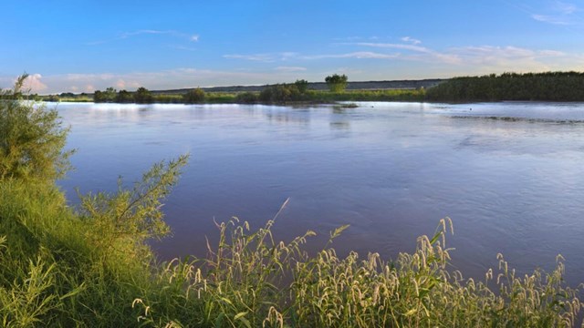 Wide stretch of slow-flowing river on a flat landscape, low greed shrubs and grasses grow alongside