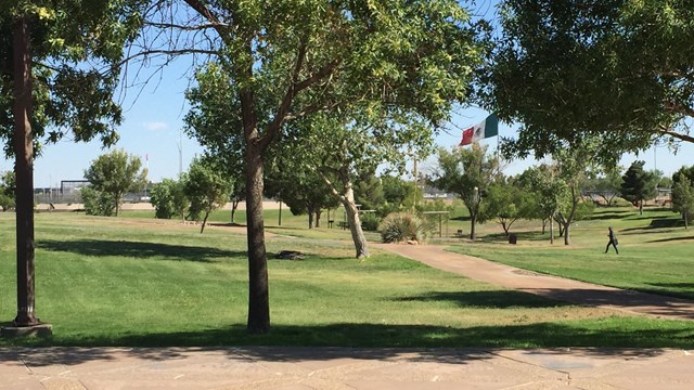 a distant view of large Mexican flag through the trees