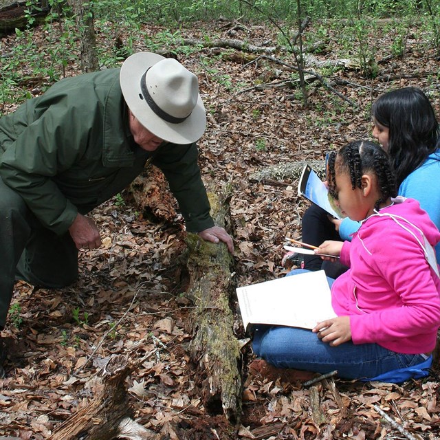 Photograph of park ranger digging into decaying log with two students 