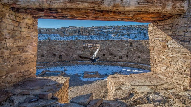 A glimpse into a kiva through a rectangular window and a raven flying in the window.