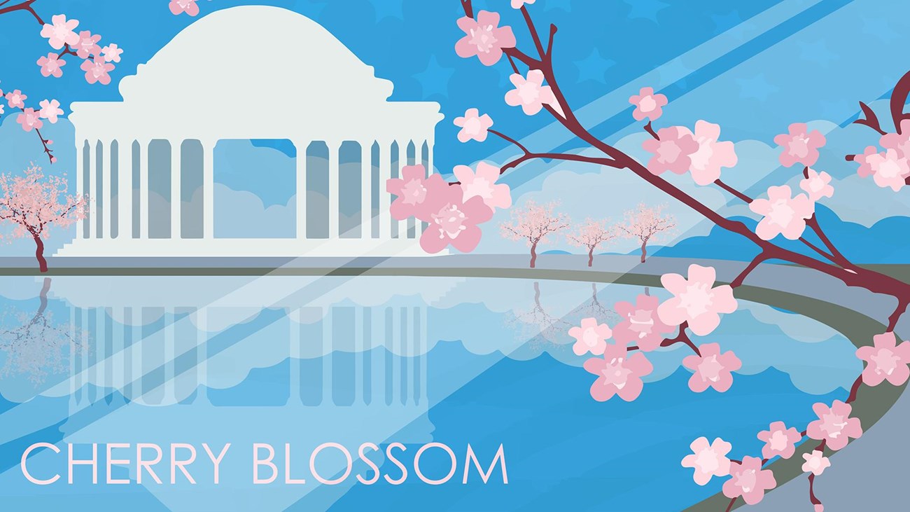 Washington Nationals' City Connect series cherry blossom-themed