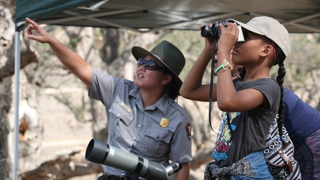 A Ranger point to a bird, child looking through binoculars. 