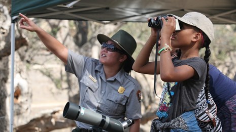 A Ranger point to a bird, child looking through binoculars.