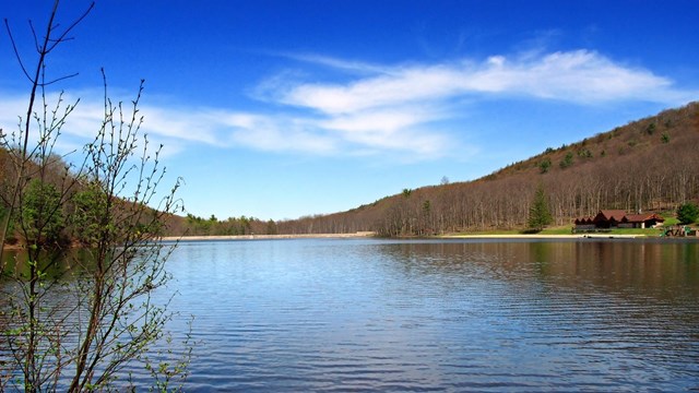 Forested hills surround a body of water.