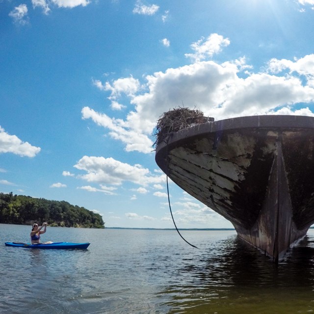 A woman in a kayak takes a picture of the grounded remains of a ship's hull.