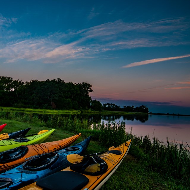 Several colorful kayaks lined up along the water at dawn.