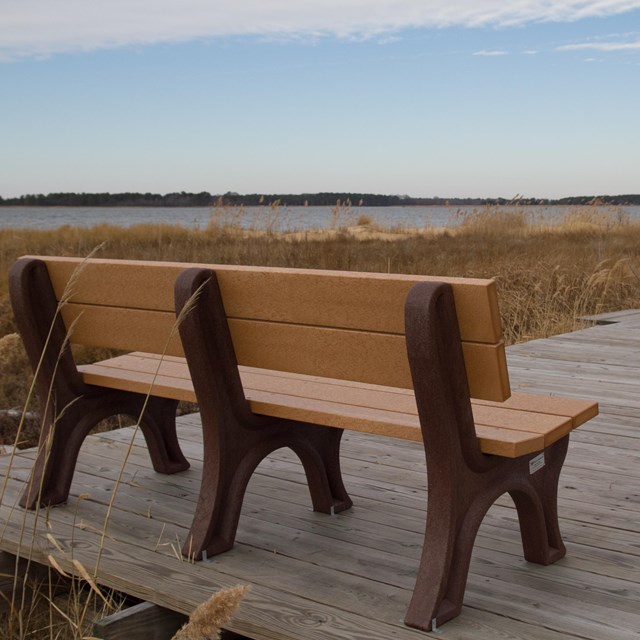 A bench on a small boardwalk overlooking a marsh.
