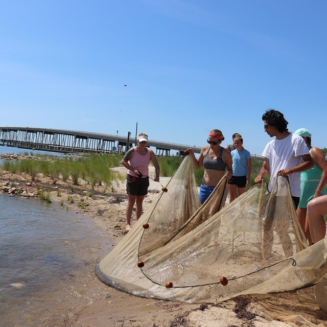 A group pulls a saining net from the water onto a sandy beach.