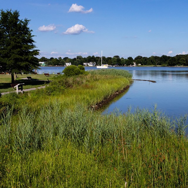 A trail runs along a vibrant, green shoreline.