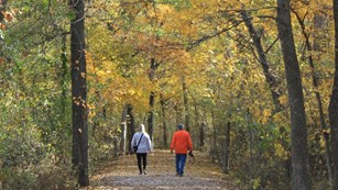 Two people walk on a trail in the woods in fall