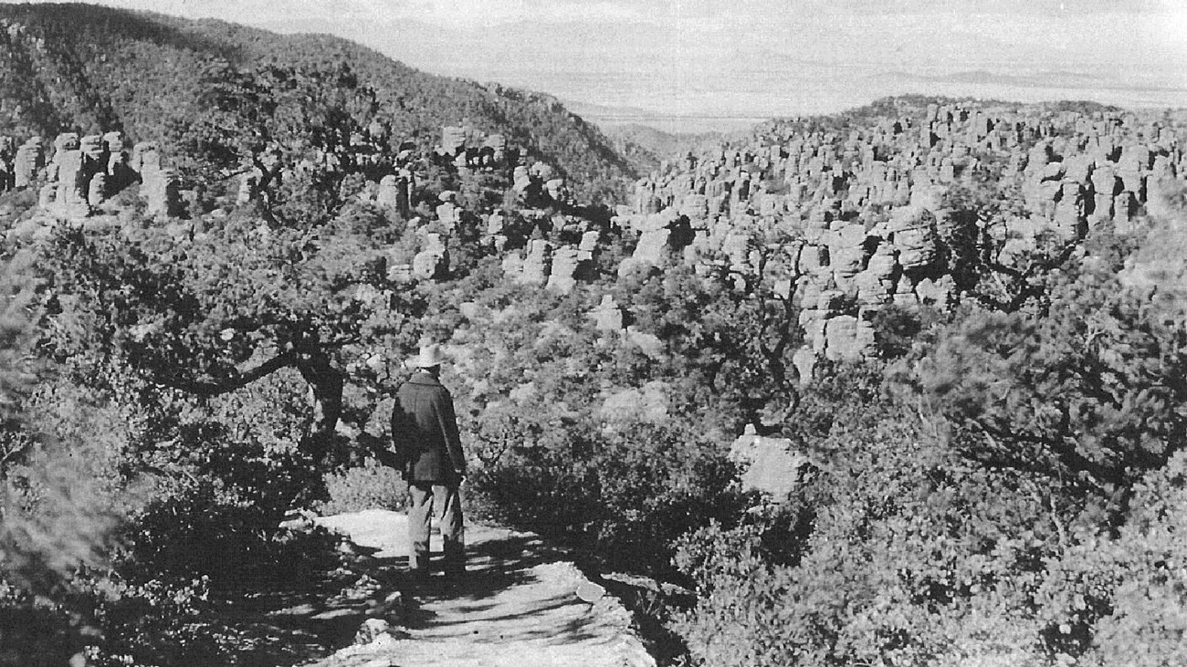 Man looking into valley filled with rock formations