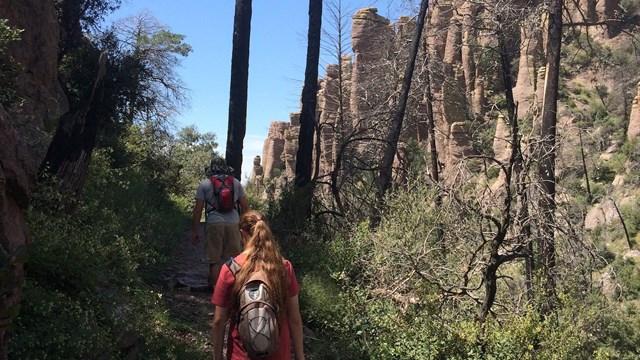 Hikers on a trail